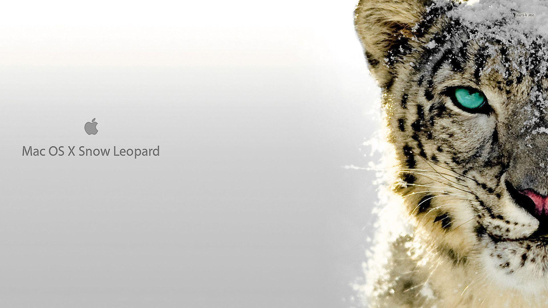 mac cleaner snow leopard